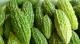 Is It Safe To Eat Bitter Gourd During Pregnancy?
